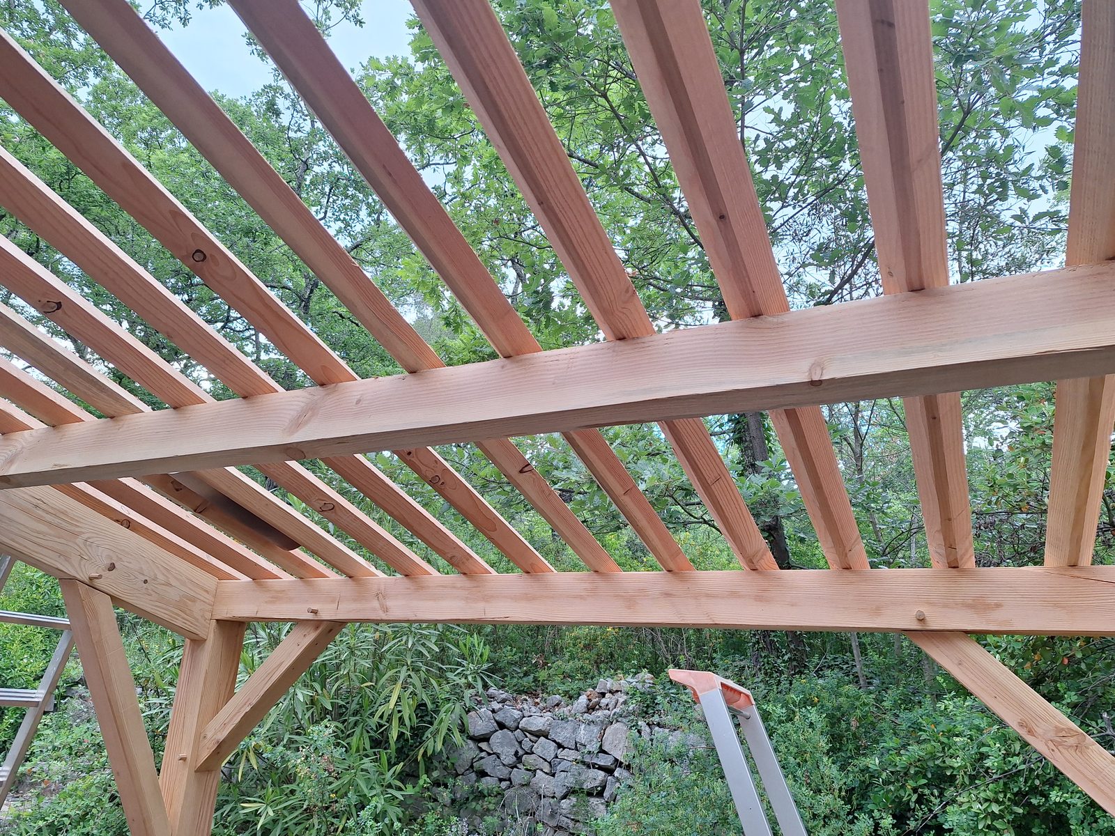 Appentis Traditionnel - image 3
